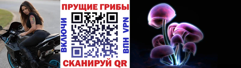 Псилоцибиновые грибы Psilocybine cubensis  Усть-Катав 