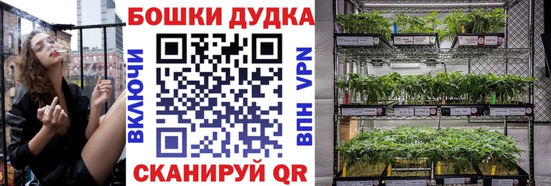 даркнет сайт  Усть-Катав  Канабис семена 